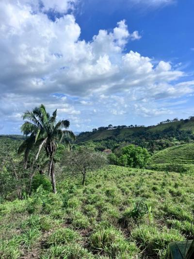 137015 - Veraguas - lotes