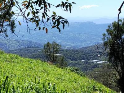 137018 - Chiriquí - lotes