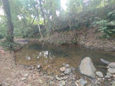 137022 - Pedregal - lotes