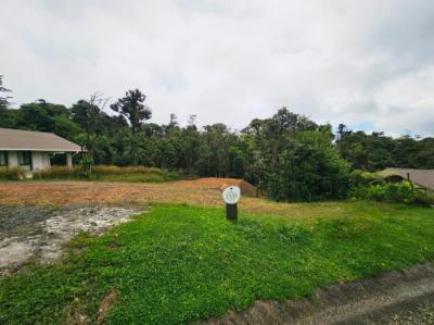 137049 - Altos del maria - lotes