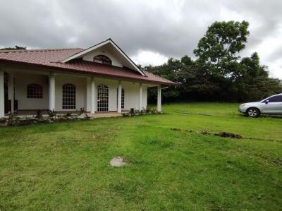 137077 - Boquete - propiedades