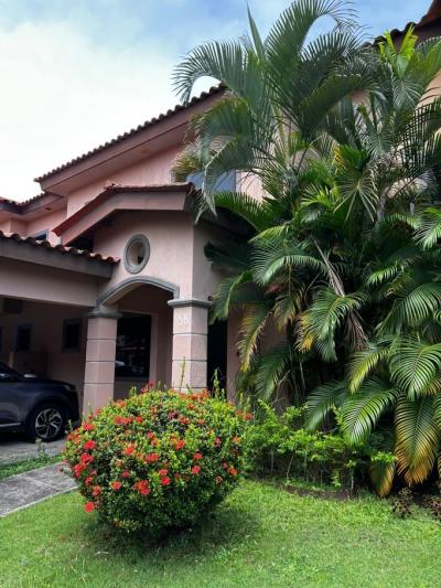 137209 - Juan diaz - apartamentos - torres de versalles