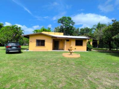 137323 - San carlos - casas