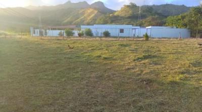 137333 - Coronado - lotes