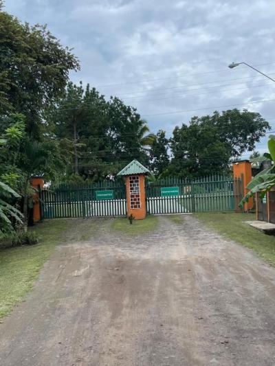 137376 - Las uvas - lots