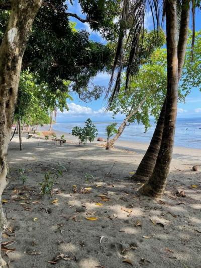 137393 - Puerto armuelles - lotes