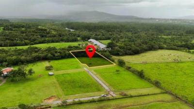 137396 - Chiriquí - lotes