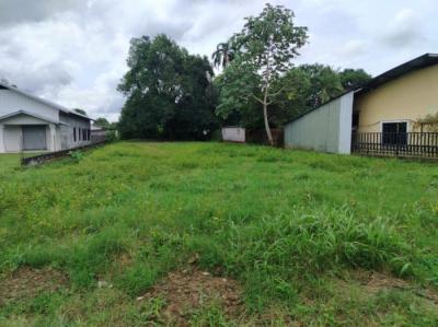 137407 - David - casas