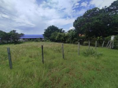 137412 - Punta chame - lotes