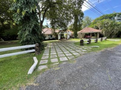 137437 - San carlos - casas - punta barco resort