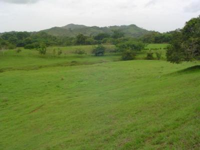 137477 - Herrera - lotes