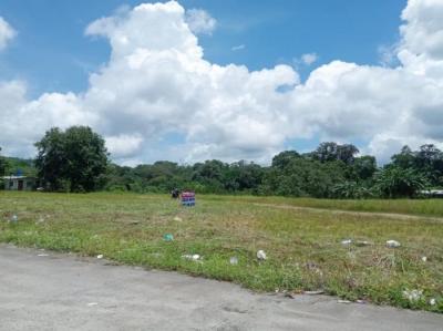 137532 - Colón - inversiones