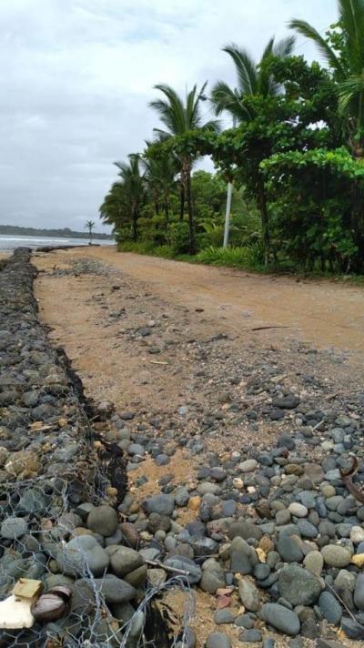 137541 - Juan diaz - lots