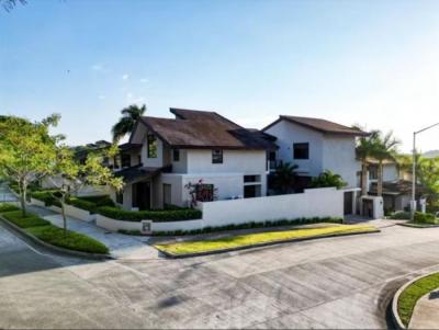 137614 - Panama pacifico - casas - nativa