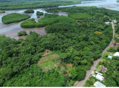 137641 - Chiriquí - lotes