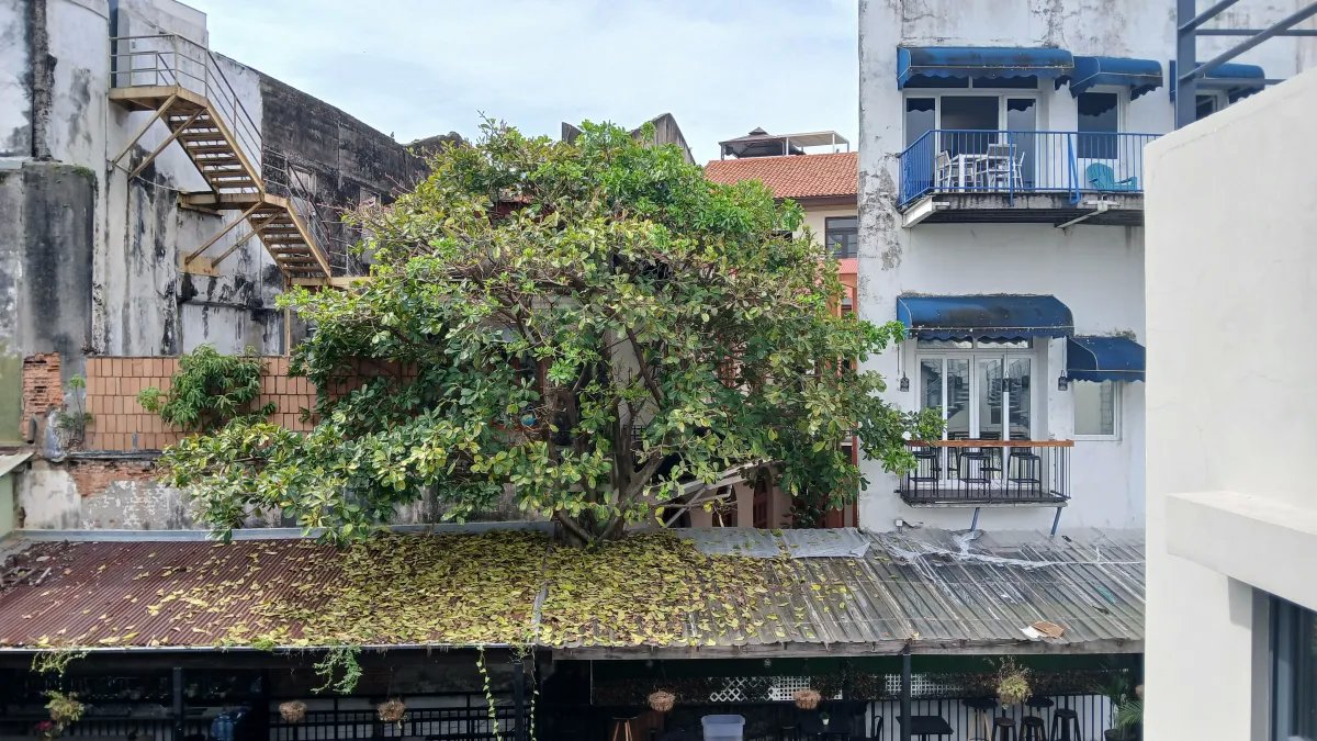 Alquiler de Apartamento Tipo Estudio  Plazuela de Alfaro