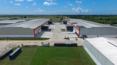 137723 - 24 de diciembre - galeras