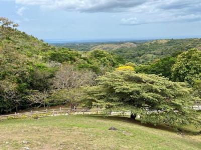 137843 - San carlos - lotes