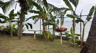 137899 - Veracruz - casas