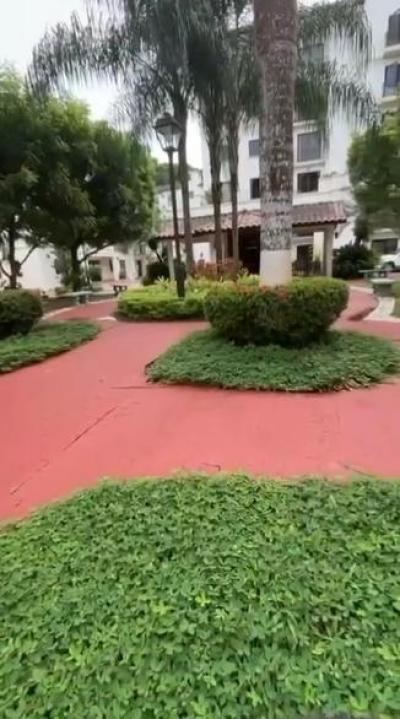137942 - Albrook - apartamentos - embassy village