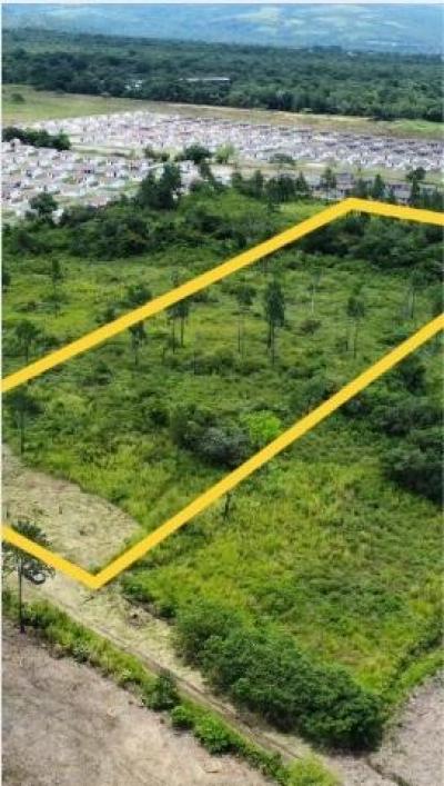 137950 - Boquete - apartamentos