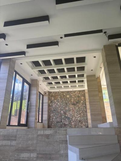 137952 - David - propiedades