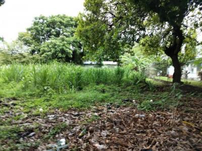 137956 - Playa gorgona - lotes