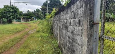 137977 - David - galeras