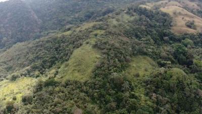 138007 - San carlos - lotes