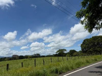 138079 - Chiriquí - propiedades