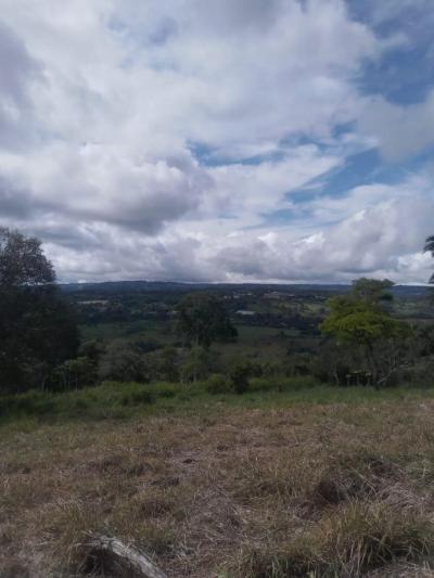 138084 - Chiriquí - propiedades