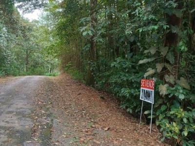 138087 - Cerro azul - propiedades