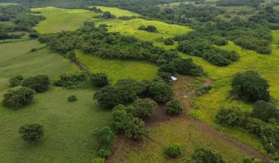 138093 - Las Tablas - lots