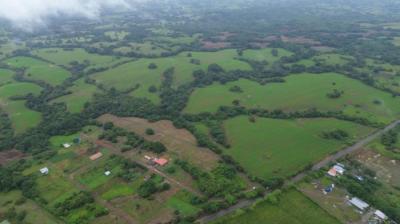 138138 - Pedasí - lots