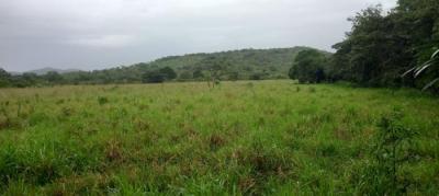 138176 - Veraguas - lots