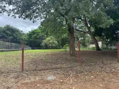 138192 - David - lots