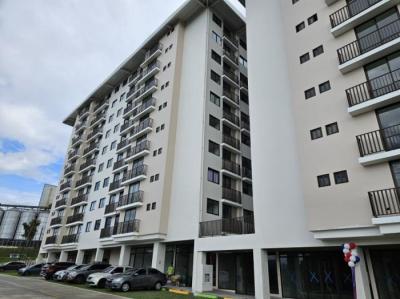 138203 - Las mañanitas - investments