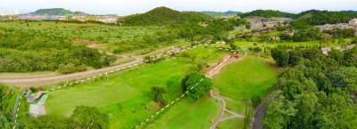 138325 - Cocoli - properties