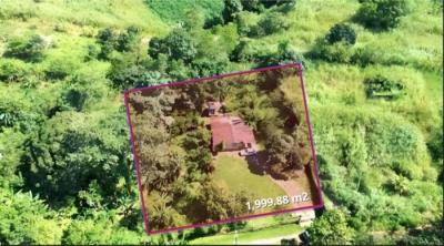 138349 - Chilibre - lotes