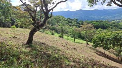 138420 - Santa Fe - lotes