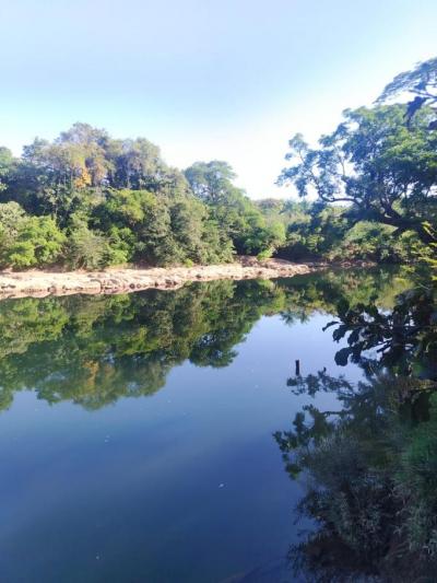 138423 - Veraguas - lotes