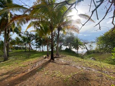 138462 - Santa catalina - lots