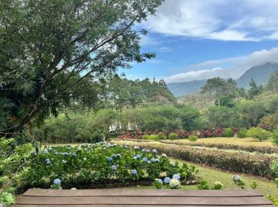 138488 - Coclé - houses