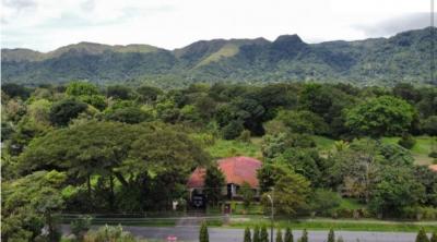 138497 - Coclé - houses