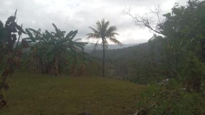 138504 - Ciudad de Panamá - lots