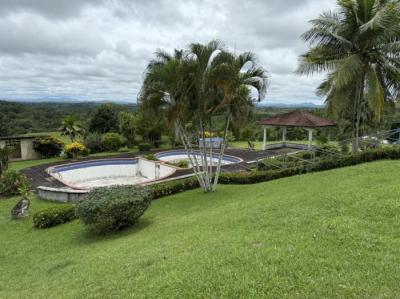 138563 - La Chorrera - lots