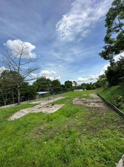 138569 - Tocumen - lotes - altos de tocumen