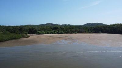 138632 - San miguel - lotes