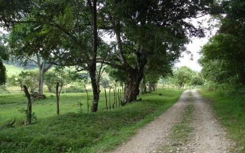 Granja de 72 Hect