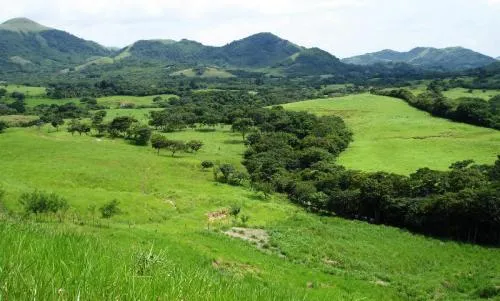Granja de 72 Hect